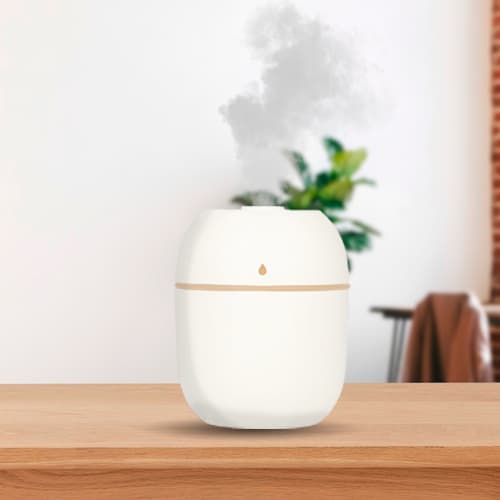 Hogar y Estilo de Vida · CC24AAE1